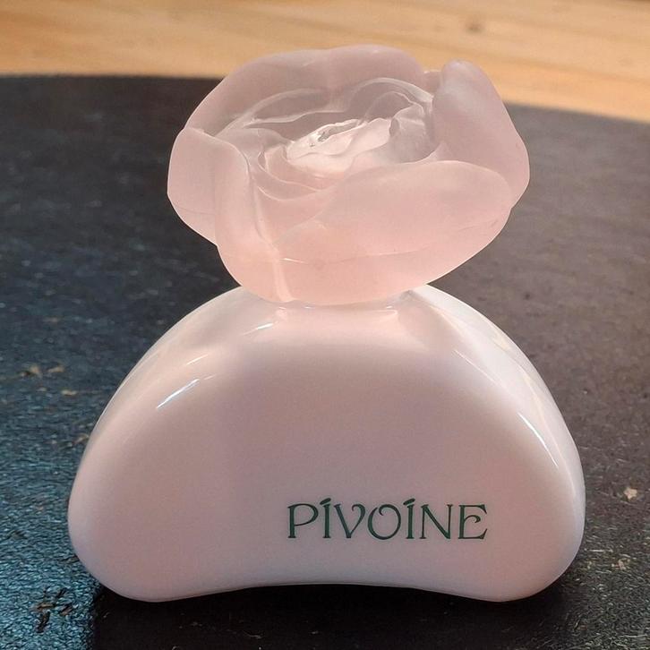 Pivoine Yves rocher 100 ml origineel ongebruikt. Pioenroos., Sieraden, Tassen en Uiterlijk, Uiterlijk | Parfum, Nieuw, Ophalen of Verzenden