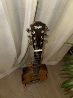 Beautiful Baby Taylor BT1, Ophalen, Gebruikt