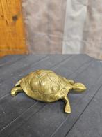 Koperen Schildpad - Nieuwstaat, Ophalen of Verzenden