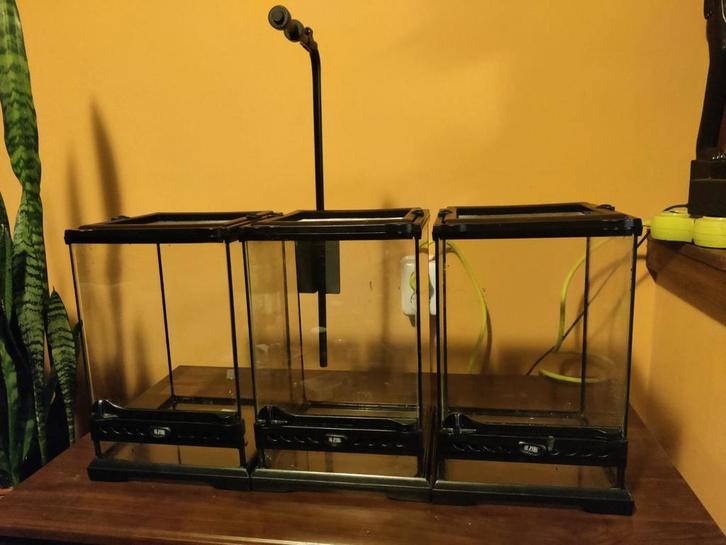 3x Exo terra terrarium (20x20x30cm), Dieren en Toebehoren, Reptielen en Amfibieën | Toebehoren, Gebruikt, Terrarium of Paludarium