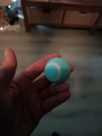 Smart balletje voor katten beschikbaar voor biedingen