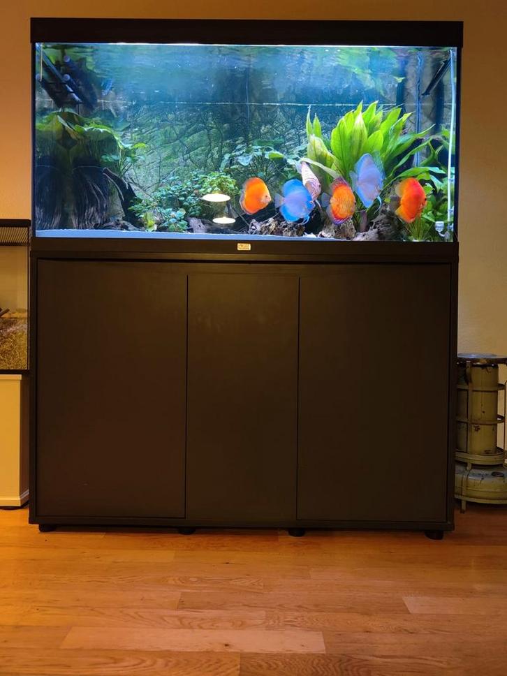 Compleet aquatlantis aquarium, Dieren en Toebehoren, Vissen | Aquaria en Toebehoren, Ophalen