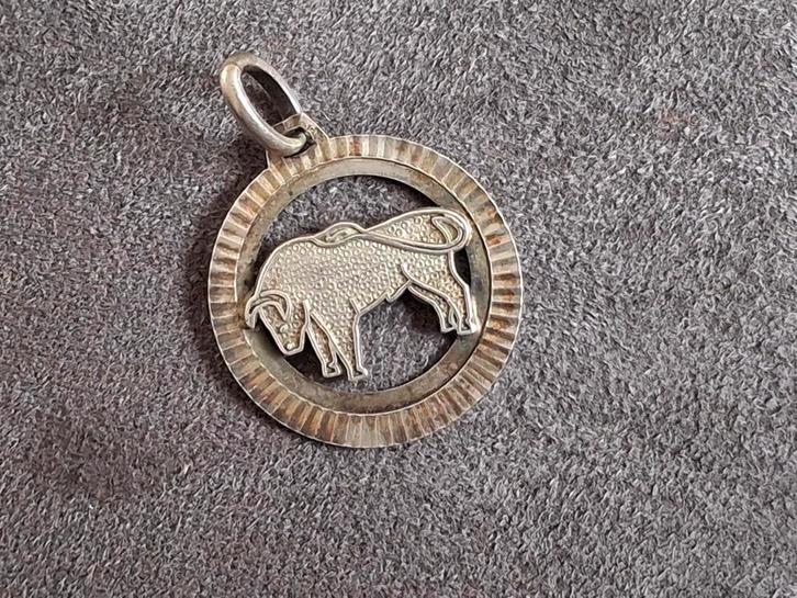 Zilveren Sterrenbeeld Stier Hanger, Sieraden, Tassen en Uiterlijk, Horloges | Heren, Gebruikt, Overige merken, Zilver, Ophalen of Verzenden