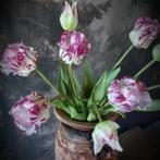 Bosje Parrot kunsttulpen paars., Ophalen of Verzenden