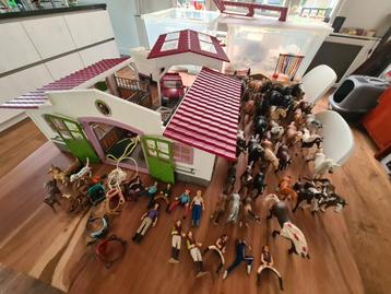 ENORME SCHLEICH PAARDEN VERZAMELING beschikbaar voor biedingen