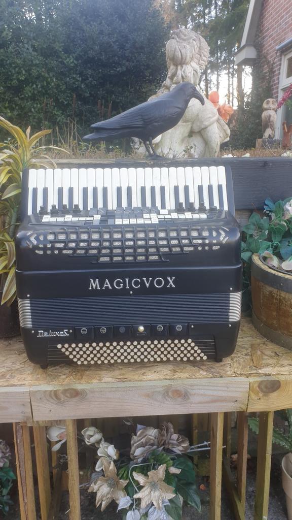 Accordeon  magie fox de luxe alleen serieuze biedingen, Gebruikt, Met koffer, Toetsaccordeon, Ophalen