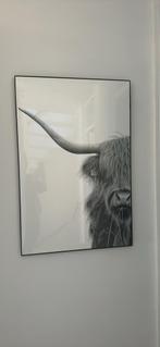 Poster Schotse Hooglander, Ophalen, Zo goed als nieuw, Foto of Poster, Minder dan 50 cm