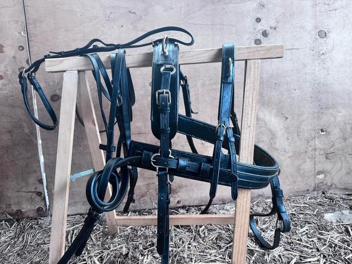 Shetlander tweespan tuig, Dieren en Toebehoren, Paarden en Pony's | Hoofdstellen en Tuigage, Gebruikt, Overige soorten, Ophalen of Verzenden