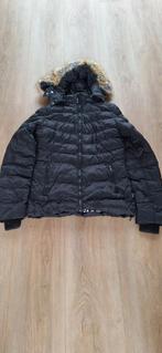 Dames Winterjas - Cars - Maat L Met capuchon zgan, Zwart, Maat 42/44 (L), Ophalen of Verzenden, Zo goed als nieuw