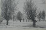 10 x Hendrik Voskuijl (1893 - 1980) potloodtek. 'bomen' (1), Antiek en Kunst, Ophalen of Verzenden