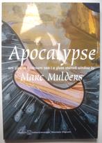 Daan van Speybroeck Marc Mulders Apocalypse Glas-in-lood, Boeken, Kunst en Cultuur | Beeldend, Daan van Speybroeck, Ophalen of Verzenden