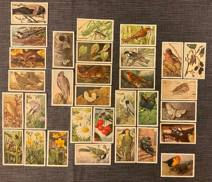 Verkade's Album Plaatjes Hans de Torenkraai + 1 Andere serie, Hobby en Vrije tijd, Stickers en Plaatjes, Zo goed als nieuw, Meerdere plaatjes