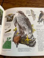 Vogels van West- en Midden-Europa - Reader's Digest, Boeken, Ophalen of Verzenden, Zo goed als nieuw, Vogels