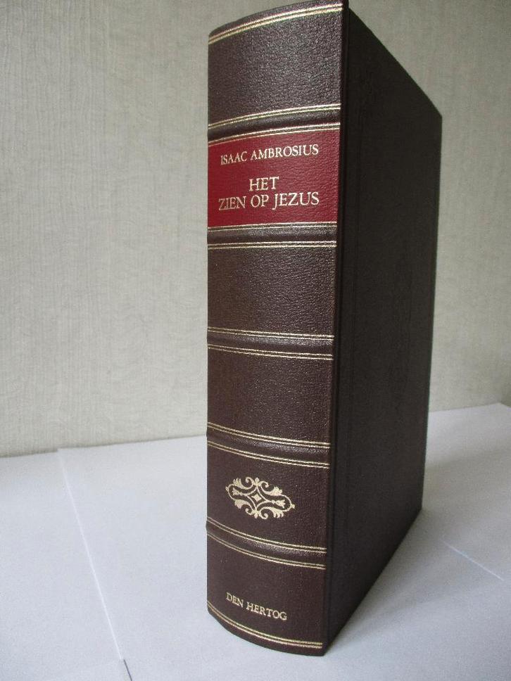 Isaäc Ambrosius: Het zien op Jezus., Boeken, Godsdienst en Theologie, Gelezen, Christendom | Protestants, Ophalen of Verzenden