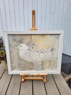 Leuke meeuwen aquarel, Minder dan 50 cm, Gebruikt, Ophalen of Verzenden, Minder dan 50 cm