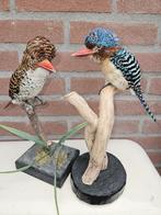 Koppel opgezette zebra ijsvogels, Ophalen of Verzenden, Nieuw, Vogel, Opgezet dier