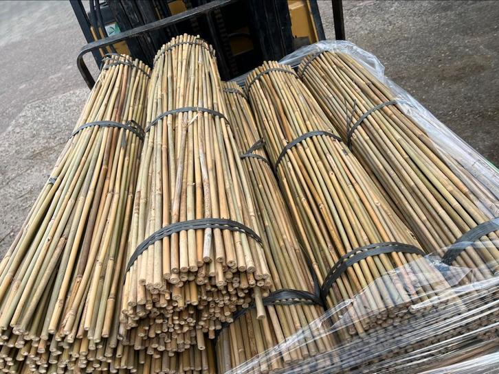 Tonkin bamboestokken bonenstokken Bamboepaal plantensteun, Tuin en Terras, Palen, Balken en Planken, Nieuw, Palen, Ophalen of Verzenden