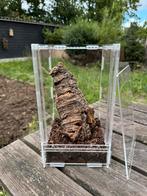 Terrarium c.a. 15x15x25 met magneet valdeur, Ophalen, Zo goed als nieuw, Terrarium of Paludarium