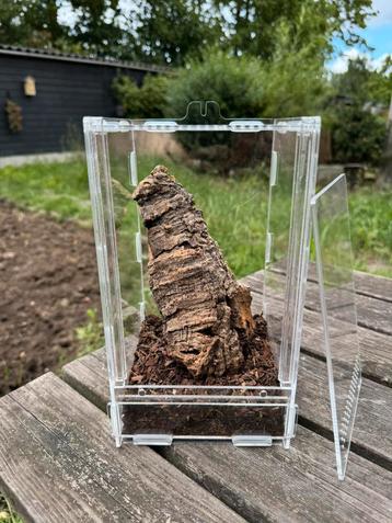 Terrarium c.a. 15x15x25 met magneet valdeur beschikbaar voor biedingen