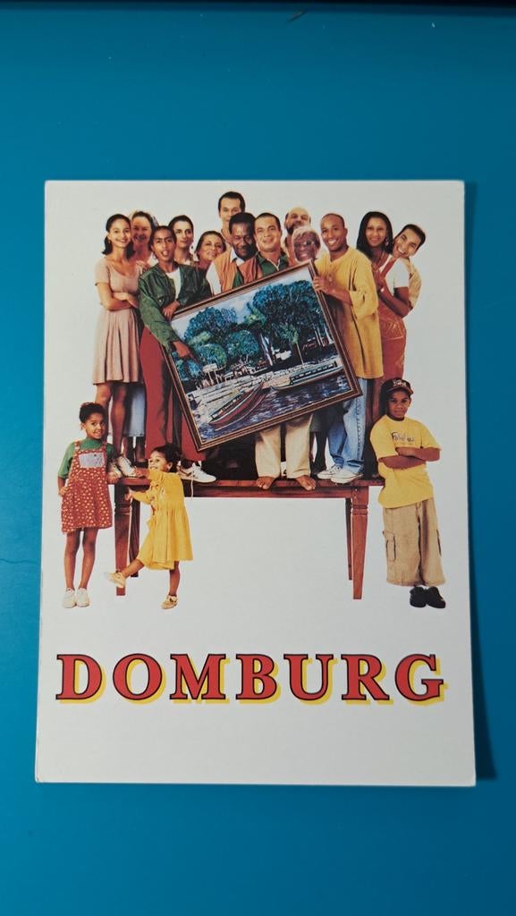 Domburg -  Boomerang kaart, Ophalen of Verzenden, Ongelopen