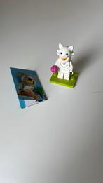 Lego minifiguur kat, Ophalen of Verzenden, Zo goed als nieuw, Complete set, Lego