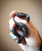 Boaedon fuliginosus black, Dieren en Toebehoren, Slang