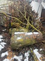 Stookhout - Zelf klein maken, Minder dan 3 m³, Ophalen, Overige houtsoorten, Stammen