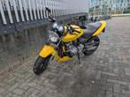Honda Hornet CB650F 2002, Motoren, Motoren | Honda, 4 cilinders, Motorrijbewijs A, Particulier, Handvatverwarming