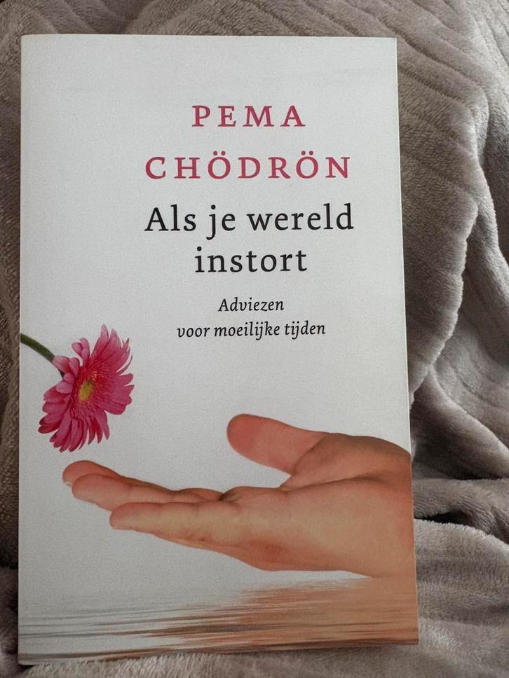 Als je wereld instort - Pema Chodron, Boeken, Esoterie en Spiritualiteit, Zo goed als nieuw, Achtergrond en Informatie, Spiritualiteit algemeen