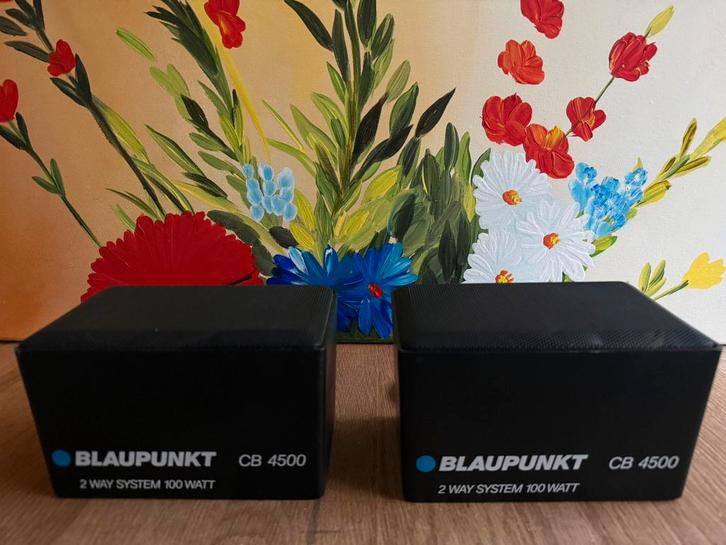 Blaupunkt cb4500 100watt auto/boekenplank Speakers, Audio, Tv en Foto, Luidsprekers, Zo goed als nieuw, Front, Rear of Stereo speakers