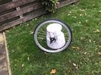 28 inch achterwiel 7 NEXUS versnellingen  rollerbrake, Fietsen en Brommers, Fietsonderdelen, Wiel, Gebruikt, Shimano Nexus, Algemeen