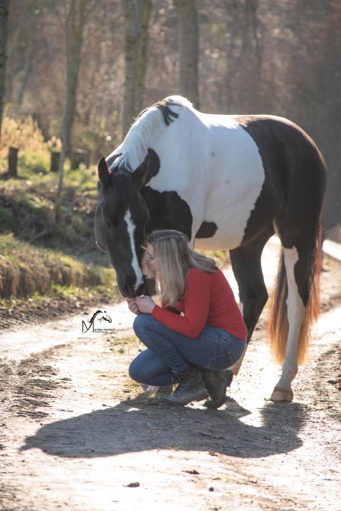 Weide en stal plek gezocht, Dieren en Toebehoren, Stalling en Weidegang, Stalling, Weidegang