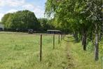 Te huur: In-/uitloopstal met weide ? selfservice pension, Weidegang, Ostaayensebaan 18, 4 paarden of pony's of meer, Stal Doorstap