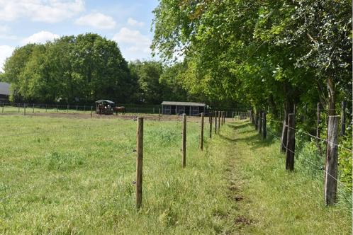 Te huur: In-/uitloopstal met weide ? selfservice pension, Dieren en Toebehoren, Stalling en Weidegang, Opfok, Weidegang, 4 paarden of pony's of meer