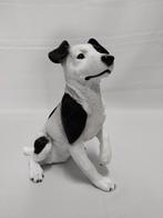 Jack Russell zwart met wit. Hond. JackRussel, Ophalen of Verzenden, Nieuw, Dier
