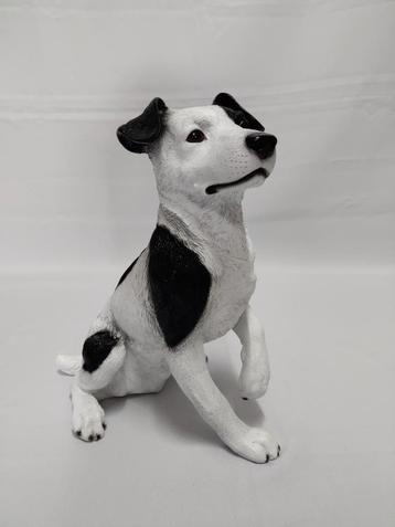Jack Russell zwart met wit. Hond. JackRussel  beschikbaar voor biedingen
