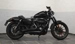 Harley Davidson 883 Iron, Motoren, Motoren | Harley-Davidson, Chopper, Particulier