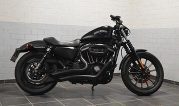 Harley Davidson 883 Iron  beschikbaar voor biedingen