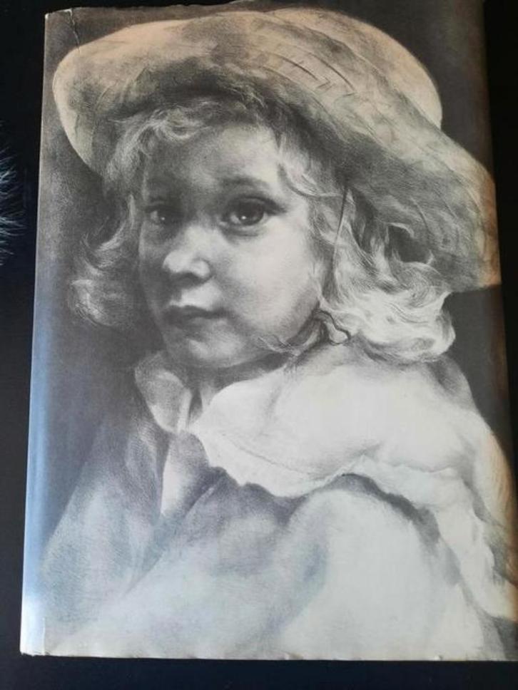 Aart van Dobbenburgh : ofwel van vreugde en verdriet, Boeken, Kunst en Cultuur | Beeldend, Gelezen, Schilder- en Tekenkunst, Ophalen of Verzenden