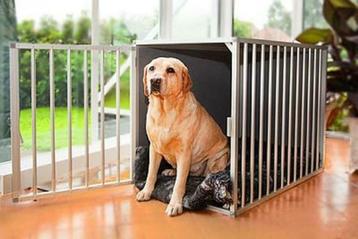 Honden Kamerbenches van hoge kwaliteit  ook Maatwerk beschikbaar voor biedingen