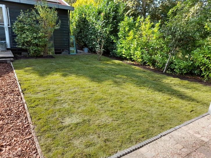 Tuinman aangeboden, Diensten en Vakmensen, Tuinmannen en Stratenmakers, Tuinonderhoud of Snoeiwerk