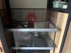Knaagdieren kooi, Dieren en Toebehoren, Kooi, Minder dan 75 cm, Zo goed als nieuw, Hamster