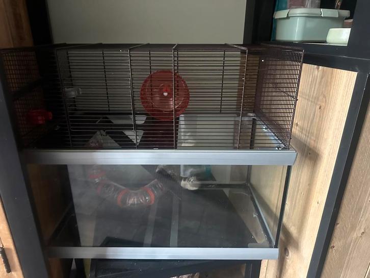 Knaagdieren kooi, Dieren en Toebehoren, Knaagdieren en Konijnen | Hokken en Kooien, Zo goed als nieuw, Kooi, Minder dan 60 cm