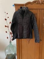 Crivit sport / softshell jas M, Kleding | Dames, Ophalen of Verzenden, Zo goed als nieuw, Zwart