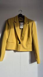 Nieuwe groene C&A Blazer mt 42- evt. bijpassende broek, Kleding | Dames, Jasjes, Kostuums en Pakken, Maat 42/44 (L), Nieuw, Ophalen of Verzenden