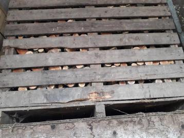  Brandhout.Stookhout.Kachelhout.Hout.Tegels.Klinkers.Stenen beschikbaar voor biedingen