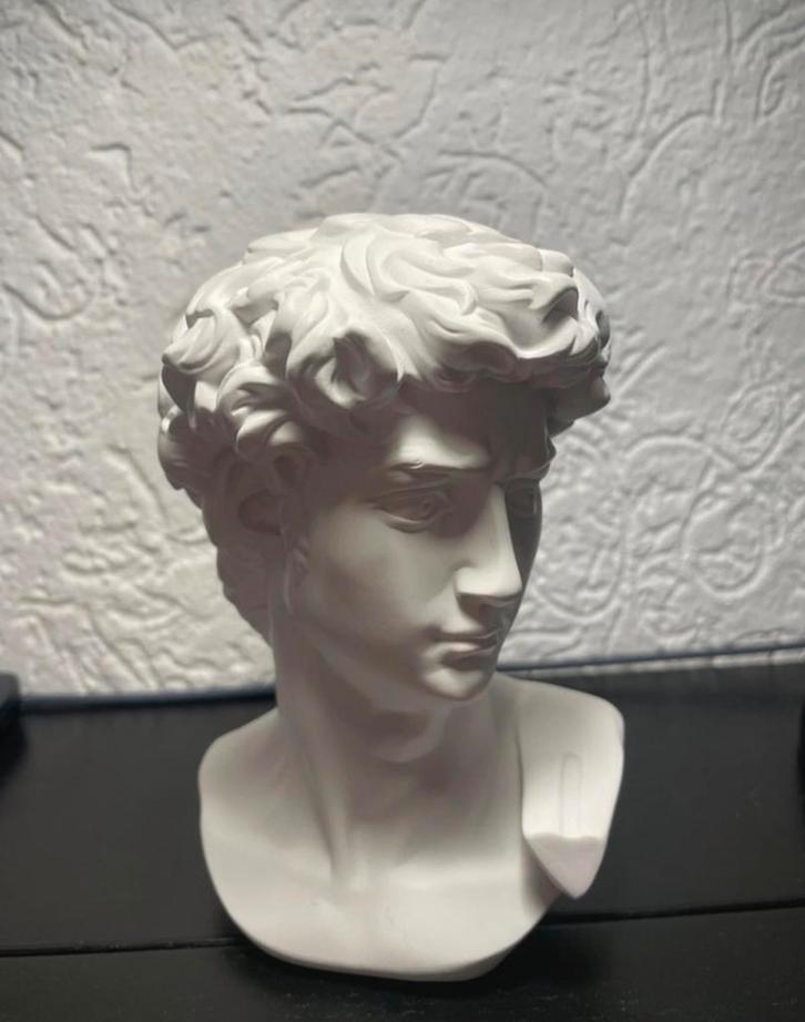 David Buste - Witte Decoratie, Antiek en Kunst, Kunst | Beelden en Houtsnijwerken, Ophalen of Verzenden