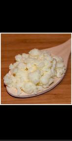 Biologische melkkefir korrels  vanaf 07/05 weer beschikbaar, Ophalen
