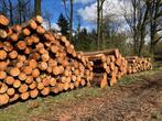 Brandhout, Openhaardhout boomstammen., Tuin en Terras, Haardhout, 6 m³ of meer, Verzenden, Overige houtsoorten, Stammen