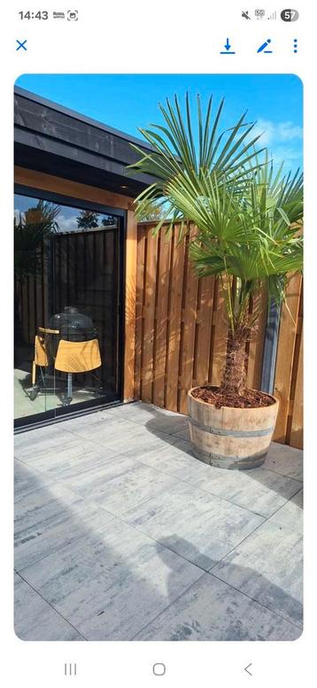 NIEUWE TUIN!!!bloembakken kunnen het hele jaar buitenstaan  beschikbaar voor biedingen
